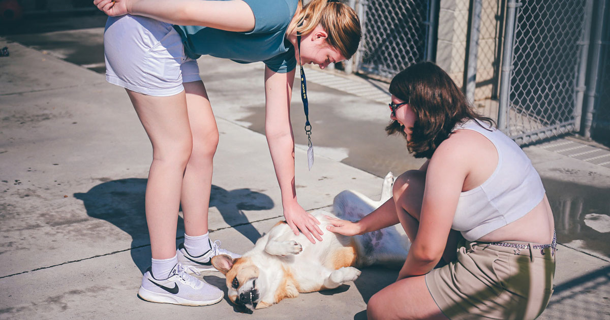 Two students pet a dog at the animal shelter.
