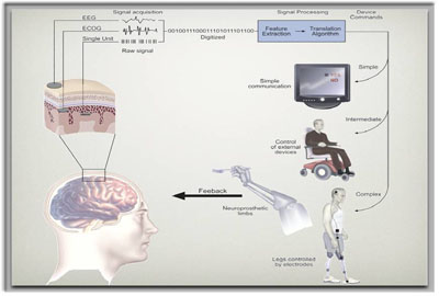 Brain-Computer Interface Laboratory