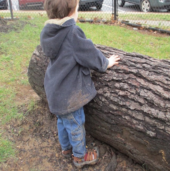 child standing by climbing log