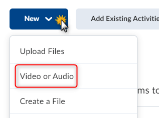 image of the add new field with video or audio selected