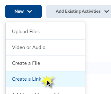 image of the new button with create a link selected