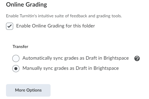image of the TurnItIn online grading options