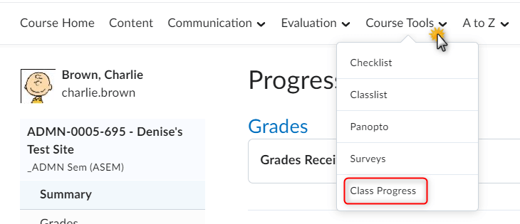 image of the class progress link located under course tools from the course navbar