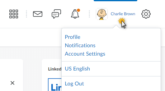 image of the profile and account settings area of the home page