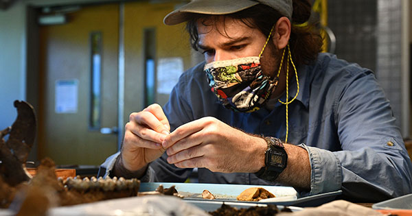 Dave Carney in the lab at the Gray Fossil Site and Natural History Museum