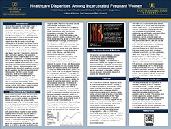 Photo for Healthcare Disparities Among Incarcerated Pregnant Women 