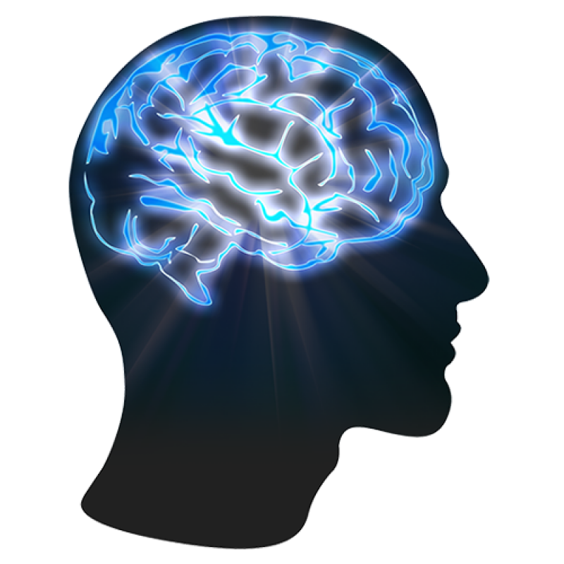 silhouette of head with brain lit up inside